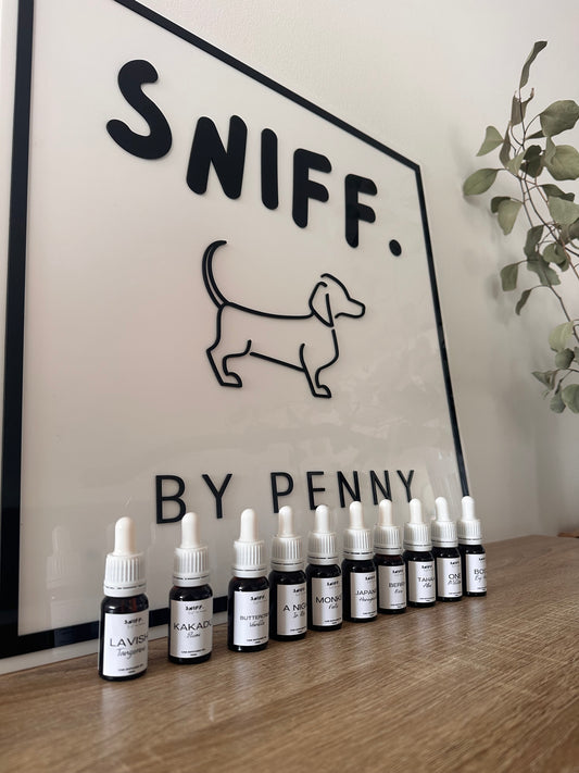 car diffuser SCENTED OIL 15ml bottle refill
